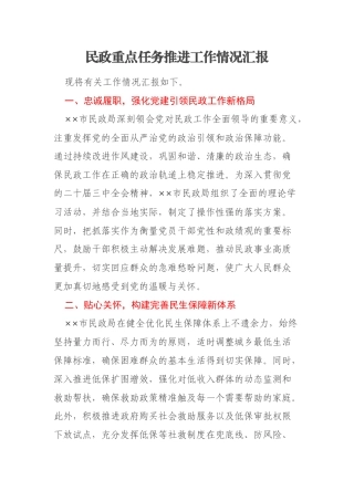 民政重点任务推进工作情况汇报