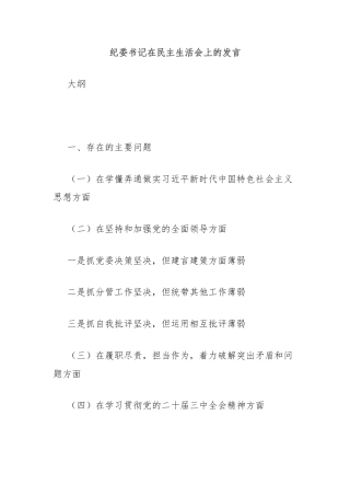 纪委书记在民主生活会上的发言