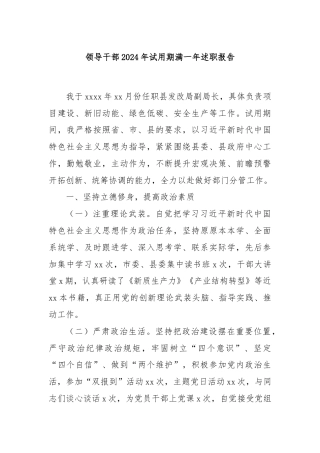 领导干部2024年试用期满一年述职报告