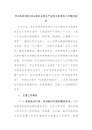 市应急局党组2024落实全面从严治党主体责任工作情况报告