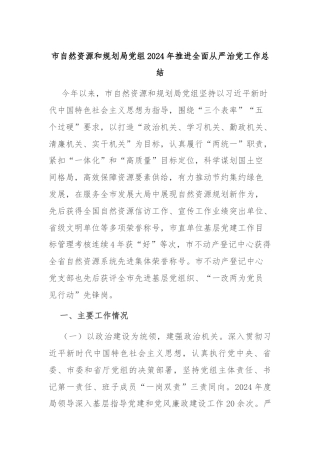 市自然资源和规划局党组2024年推进全面从严治党工作总结