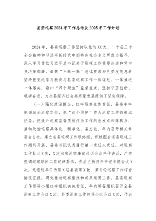 县委巡察2024年工作总结及2025年工作计划