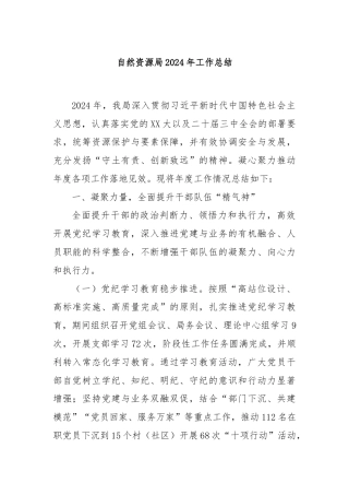 自然资源局2024年工作总结