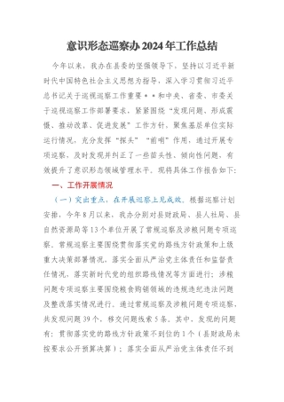 意识形态巡察办2024年工作总结