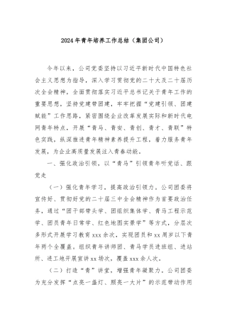 2024年青年培养工作总结（集团公司）