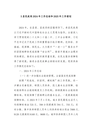 X县民政局2024年工作总结和2025年工作谋划