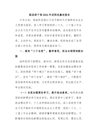 副县级干部2024年述职述廉述报告