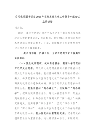 公司党委副书记在2024年宣传思想文化工作领导小组会议上的讲话