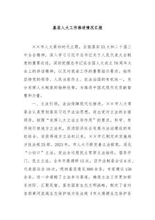基层人大工作推进情况汇报