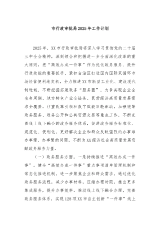 市行政审批局2025年工作计划