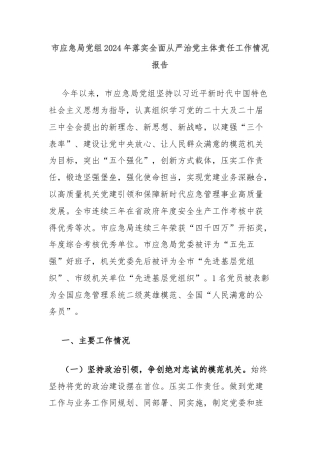 市应急局党组2024年落实全面从严治党主体责任工作情况报告