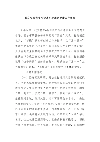 县公安局党委书记述职述廉述党建工作报告