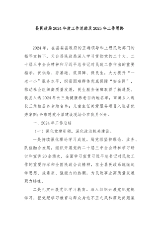 县民政局2024年度工作总结及2025年工作思路