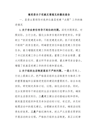 镇党委关于巡察反馈意见的整改报告