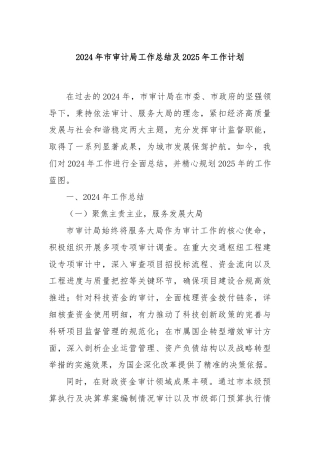2024年市审计局工作总结及2025年工作计划