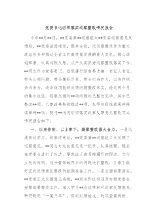 党委书记组织落实巡察整改情况报告 - 副本