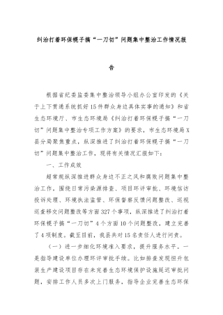 纠治打着环保幌子搞“一刀切”问题集中整治工作情况报告 - 副本