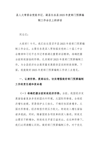 县人大常委会党组书记、副县长在县2025年度部门预算编制工作会议上的讲话