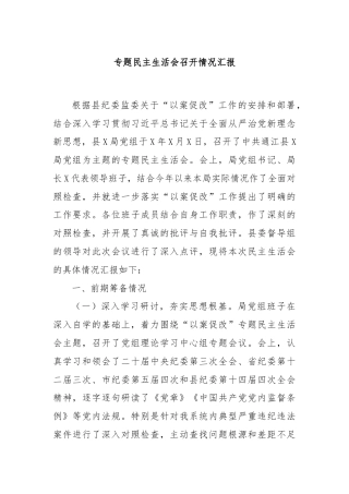 专题民主生活会召开情况汇报