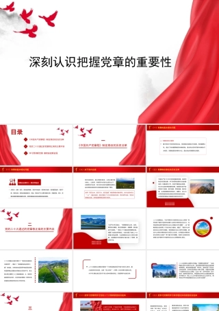 深刻认识把握党章的重要性（党纪学习教育）（PPT)