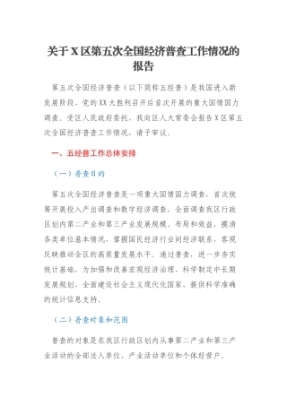 关于X区第五次全国经济普查工作情况的报告
