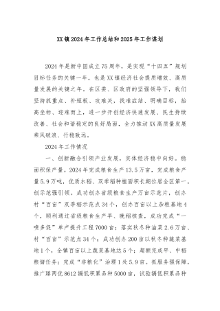 XX镇2024年工作总结和2025年工作谋划