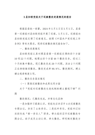 X县妇联党组关于巡察整改进展情况的报告