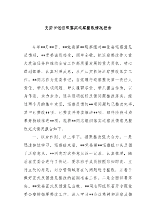 党委书记组织落实巡察整改情况报告