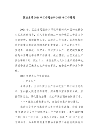 区应急局2024年工作总结和2025年工作计划