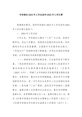市供销社2024年工作总结和2025年工作打算