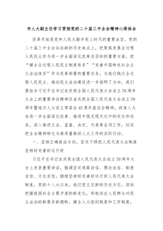 市人大副主任学习贯彻党的二十届三中全会精神心得体会