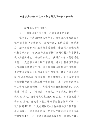 市水务局2024年以来工作总结及下一步工作计划