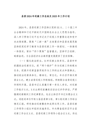 县委2024年巡察工作总结及2025年工作计划