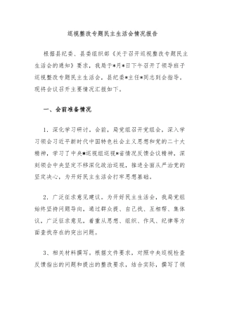 巡视整改专题民主生活会情况报告