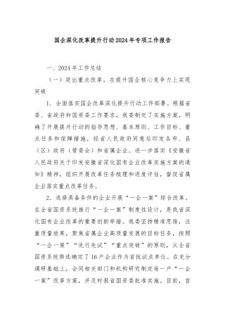 国企深化改革提升行动2024年专项工作报告