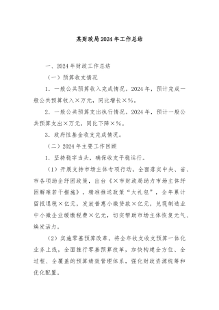 某财政局2024年工作总结