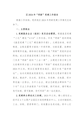 区2024年“两新”党建工作报告