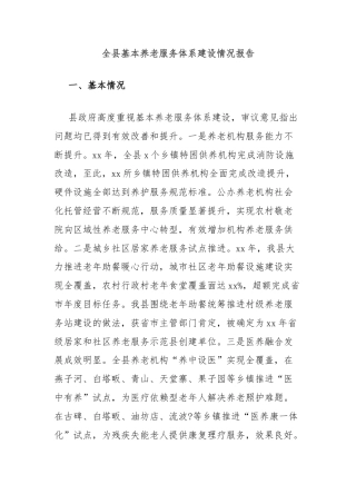 全县基本养老服务体系建设情况报告