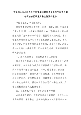 市供销合作社联合社党组落实巡察组意识形态工作责任制专项检查反馈意见整改情况的报告