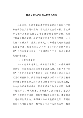 推进全面从严治党工作情况报告