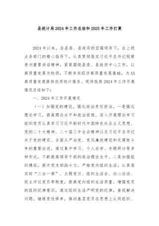 县统计局2024年工作总结和2025年工作打算