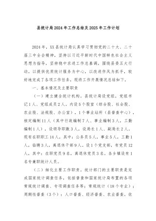 县统计局2024年工作总结及2025年工作计划