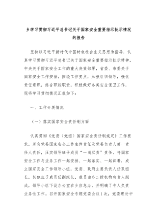 乡学习贯彻习近平总书记关于国家安全重要指示批示情况的报告