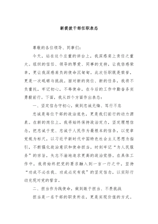新提拔干部任职表态