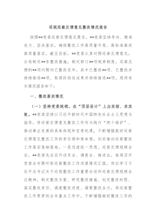 巡视巡察反馈意见整改情况报告