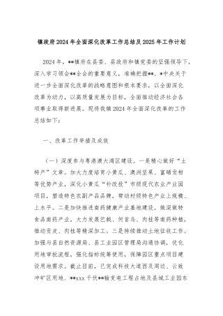 镇政府2024年全面深化改革工作总结及2025年工作计划