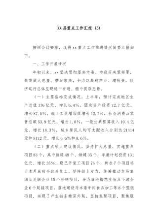 XX县重点工作汇报 (5)