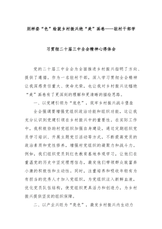 别样姿“色”绘就乡村振兴绝“美”画卷——驻村干部学习贯彻二十届三中全会精神心得体会
