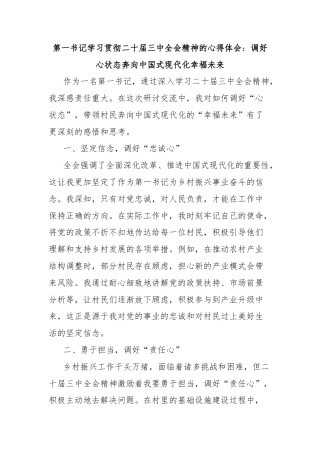 第一书记学习贯彻二十届三中全会精神的心得体会：调好心状态奔向中国式现代化幸福未来