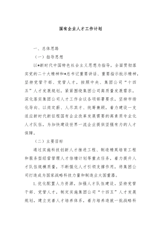 国有企业人才工作计划